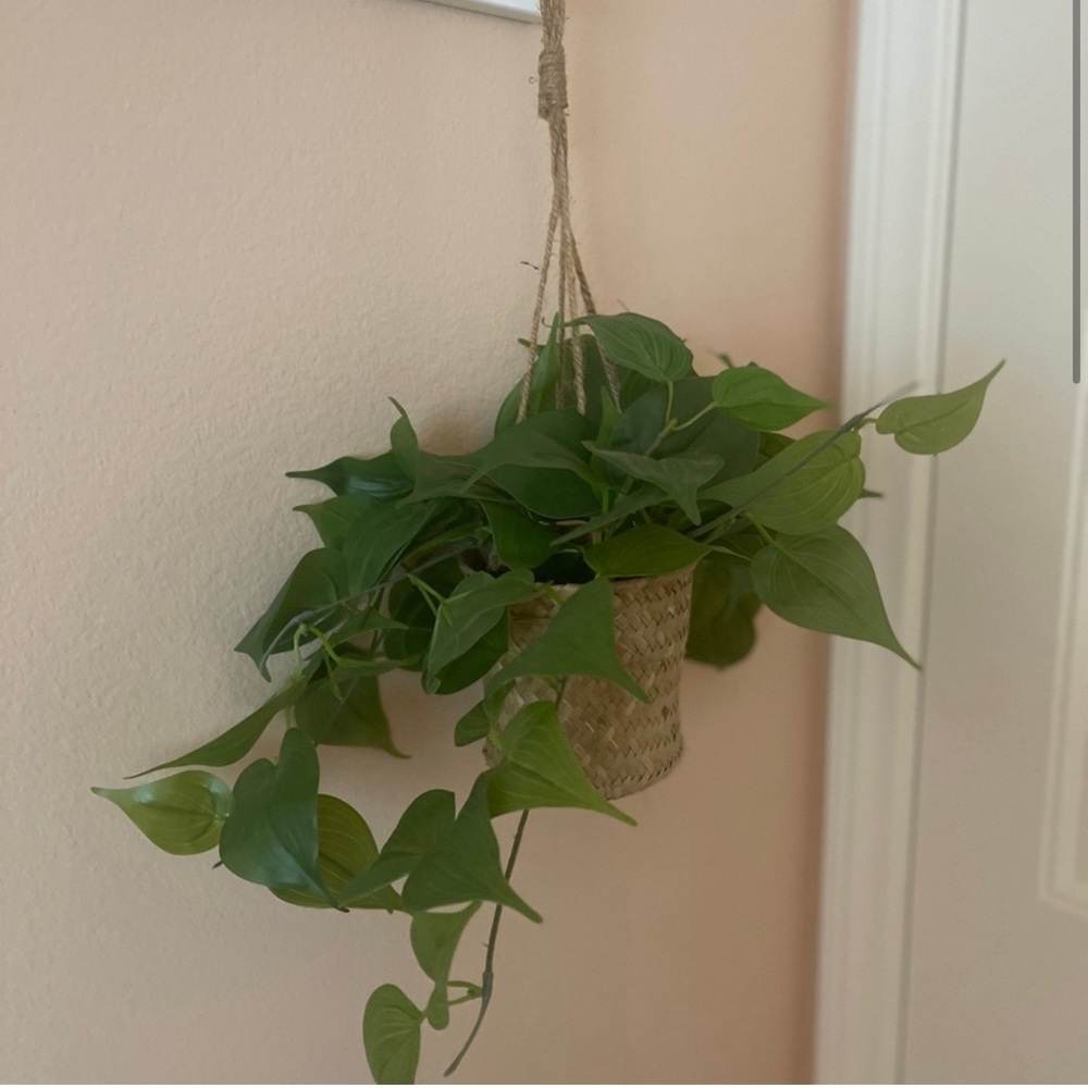 🪴Hanging boho style faux soft potted plant - Picture 2 of 4